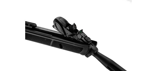 CARABINE A AIR A REPETITION GAMO ROADSTER IGT 10x GEN2 SYNTHETIQUE CAL.4.5 - 19.9 JOULES