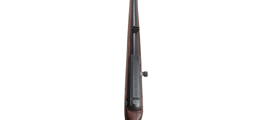 BRADERIE OCCASION - CARABINE SEMI-AUTO BRNO 581 CAL.22LR